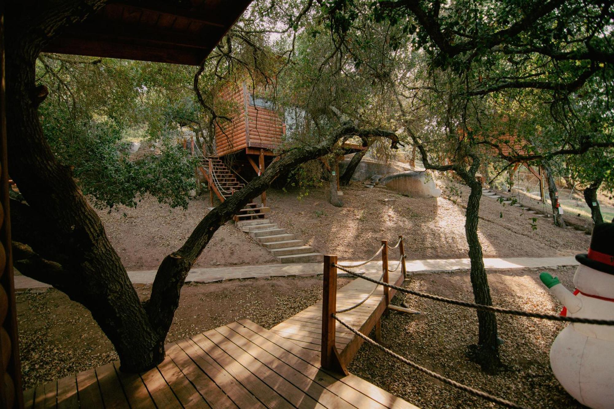 Boskenvid Hotel Boutique, Skypool Valle de Guadalupe Exterior foto